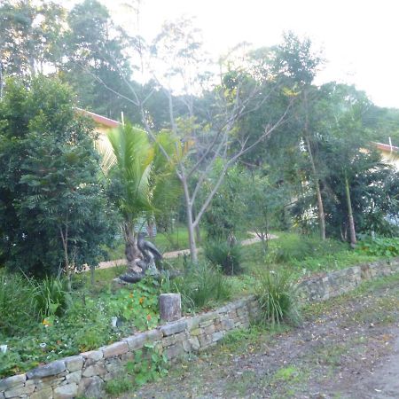 Teretre Cabins Nimbin Villa Buitenkant foto