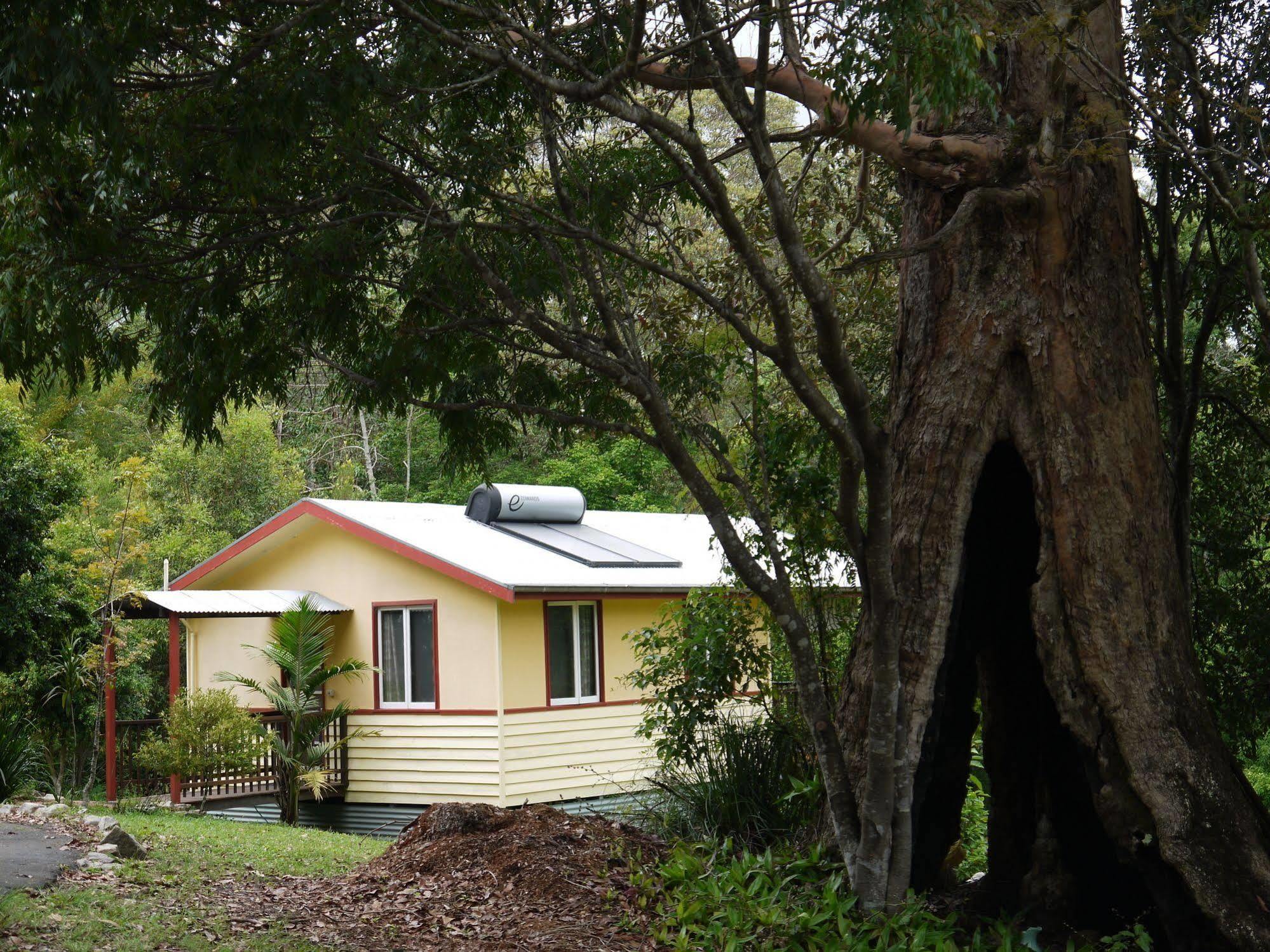 Teretre Cabins Nimbin Villa Buitenkant foto